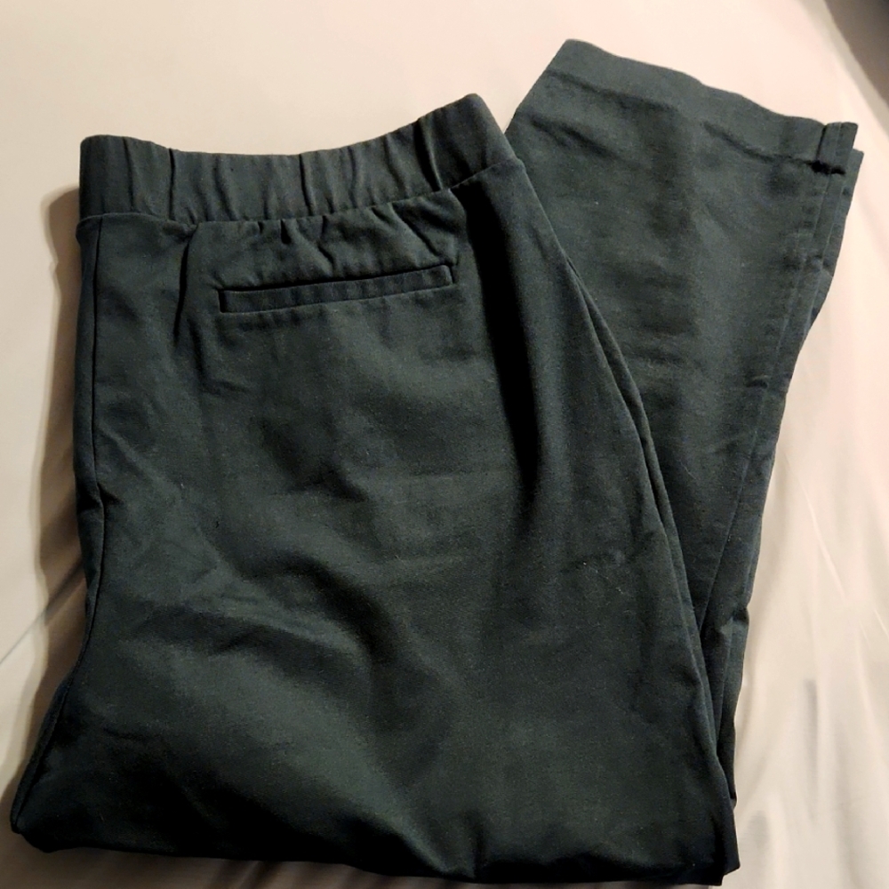 Hunter Green Women's Ankle Dress Pants Size XXL